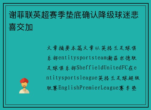 谢菲联英超赛季垫底确认降级球迷悲喜交加 谢菲联英超赛季垫底确认降级球迷悲喜交加